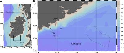 Using the Red Band Difference Algorithm to Detect and Monitor a Karenia spp. Bloom Off the South Coast of Ireland, June 2019